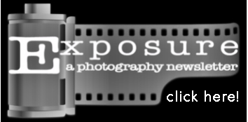 LOGO Roll of Film
