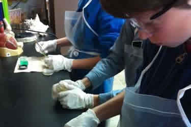 children doing science experiment
